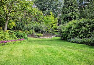 Optimiser l'expérience du jardin à Rouvres-sous-Meilly